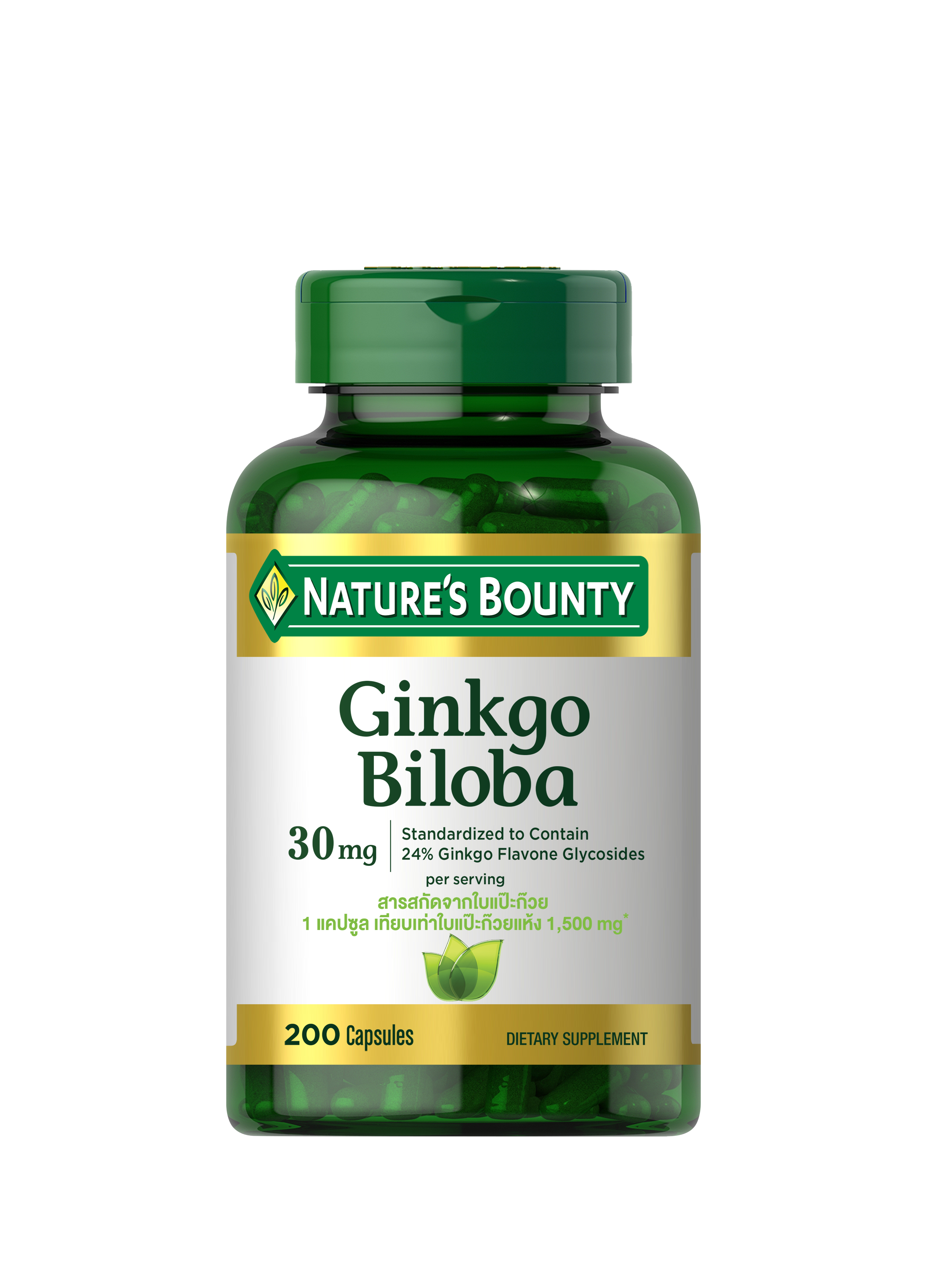 Ginkgo Biloba, กิงโกะ บิโลบา, สารสกัดใบแปะก๊วย